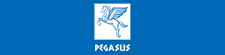 Pegasus